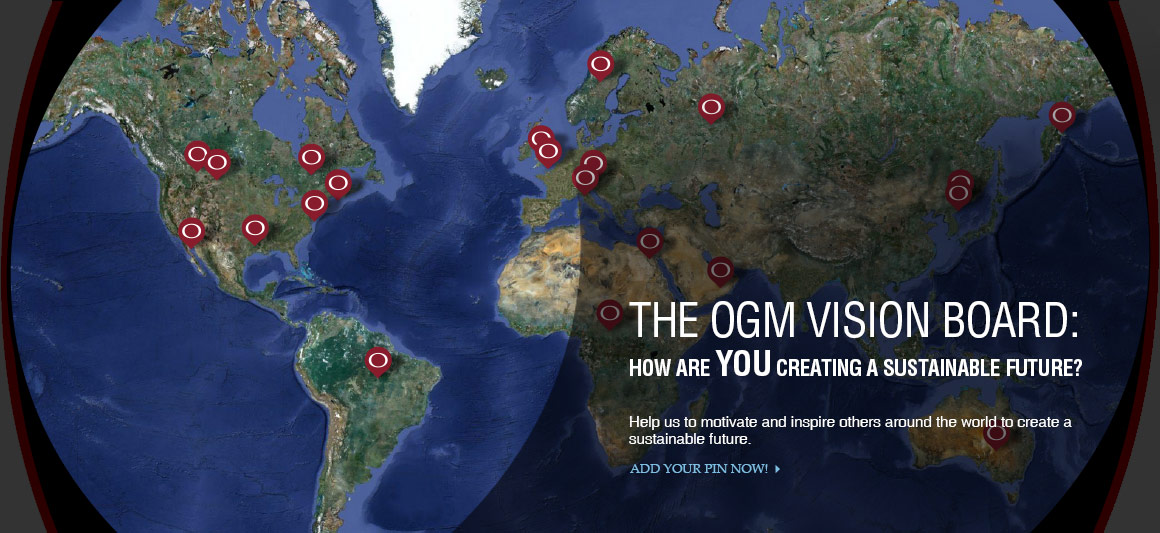 The OGM Vision Board